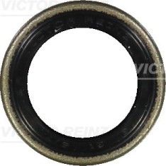 VICTOR REINZ 81-24010-00 Simering, ax cu came