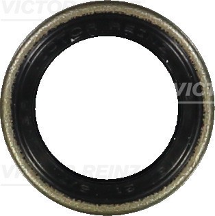 VICTOR REINZ 81-24010-00 Simering, ax cu came
