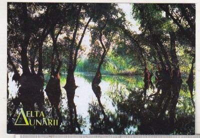 bnk cp Delta Dunarii - Lacul Rotund - necirculata foto