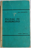 Zigzag pe mapamond, Ioan Grigorescu, 1964
