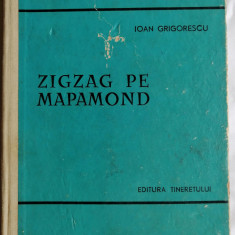 Zigzag pe mapamond, Ioan Grigorescu, 1964