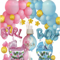 Set arcada baloane Gender Reveal, multicolor