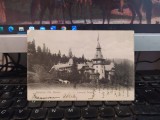 Salutare din Sinaia, Castelul Peleș, circulație 17 aug. 1903, 205