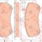 Set placute frana,frana disc MERCEDES E-CLASS Cabriolet (A207) (2010 - 2016) TRW GDB1798