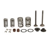 Set complet supape scuter GY6-50 (139QMB) - Baotian - First Bike - Kymco - Rex - Peugeot Vclic - Rieju - Sachs 4T 50cc