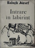 Cumpara ieftin BALOGH JOZSEF - INTRARE IN LABIRINT (VERSURI, editia princeps - 1987) [coperta de TUDOR JEBELEANU]