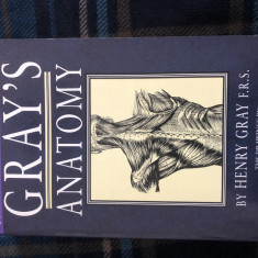Gray's anatomy, by Henry Gray, drawings by H. V. Carter, 1994