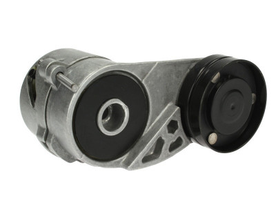 Intinzator curea transmisie AUDI A6 (4A, C4) (1994 - 1997) TOPRAN 109 803 foto