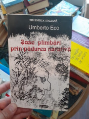 Sase plimbari prin padurea narativa &amp;amp;#8211; Umberto Eco foto