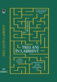 Trei ani &icirc;n labirint - Hardcover - Jay Hosking - RAO