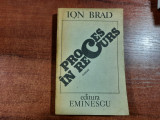 Proces in recurs de Ion Brad