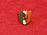 Insigna fotbal - AC TORINO (Italia)
