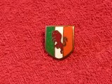 Insigna fotbal - AC TORINO (Italia)