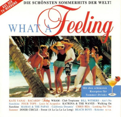 CD Various &amp;ndash; What A Feeling (-VG) foto