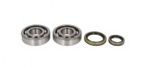 Set rulmenti ambielaj Suzuki RM 250 96-02 Allballs 24-1021