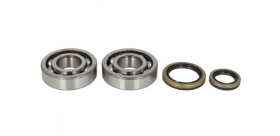 Set rulmenti ambielaj Suzuki RM 250 96-02 Allballs 24-1021 foto
