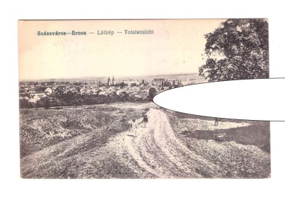 CP Orastie, pana in 1918, necirculata, animata, stare foarte buna foto