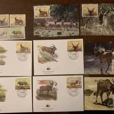 mali - serie 4 timbre MNH, 4 FDC, 4 maxime, fauna wwf