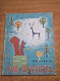 carte pentru copii - puiul de veverita - ion vlasiu - din anul 1964