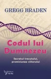 Cumpara ieftin Codul lui Dumnezeu. Secretul trecutului, promisiunea viitorului/Gregg Braden