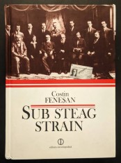 1919-1924 SUB STEAG STRAIN Partidul Comunist Roman in arhiva Komintern-ului &ndash; C Fenesan Istorie Politica PCR 2011 Ed. Enciclopedica CARTONATA Stare FB