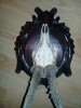 Panoplie Trofeu Vechi cu Coarne &amp; Craniu, 36cm, Decor Perete, Obiect Decorativ Casa