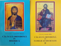 CALAUZA ORTODOXA IN BISERICA / CALAUZA ORTODOXA IN FAMILIE SI SOCIETATE . , VOL. I - II de ARHIMANDRIT IOANICHIE BALAN , 2004 foto