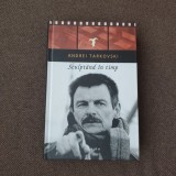 Sculptand in timp Andrei Tarkovski 17/3