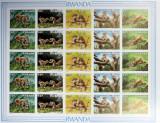 RWANDA 1987-TIGRI-COALA-5SERII,NEDANTELATA** - RW 112, Africa, Fauna