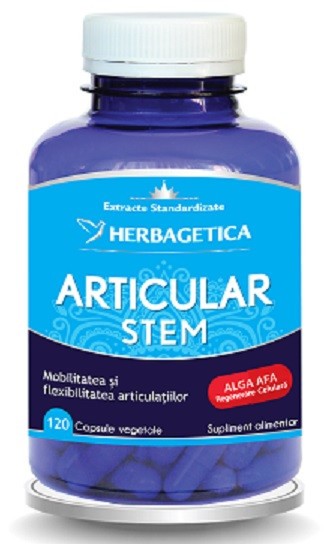 Articular stem 120cps vegetale