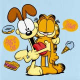 Set 20 servetele Garfield 33x33 cm