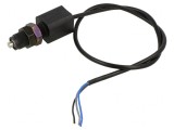 Limitator cursă 8A 250VAC IP67
