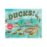 Ducks! (New &amp; Updated)