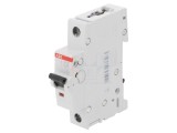 &Icirc;ntrerupător de supracurent 230V 25A 1P C