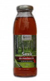 Seva de Mesteacan Bio cu Infuzie de Macese Dietetic Bio Terra Energy 300ml