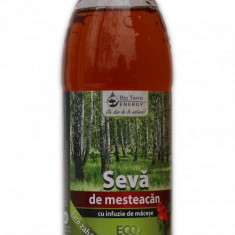 Seva de Mesteacan Bio cu Infuzie de Macese Dietetic Bio Terra Energy 300ml