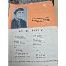 Partitura, N-ai vrut sa crezi - Ion Cristinoiu