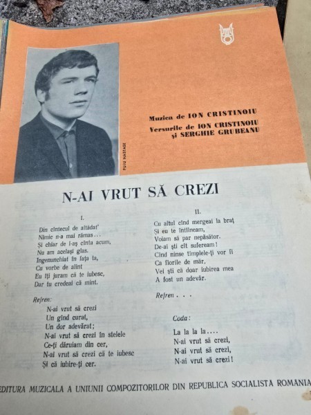 Partitura, N-ai vrut sa crezi - Ion Cristinoiu