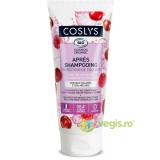 Balsam pentru Ingrijire Par Vopsit cu Ulei de Cirese si Otet de Zmeura Bio 200ml