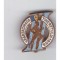 Insigna A III-a Spartachiada a Tineretului 1958, mic defect