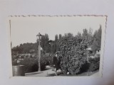 Fotografie 6/9 cm &icirc;n parc cu femeie l&acirc;ngă felinar