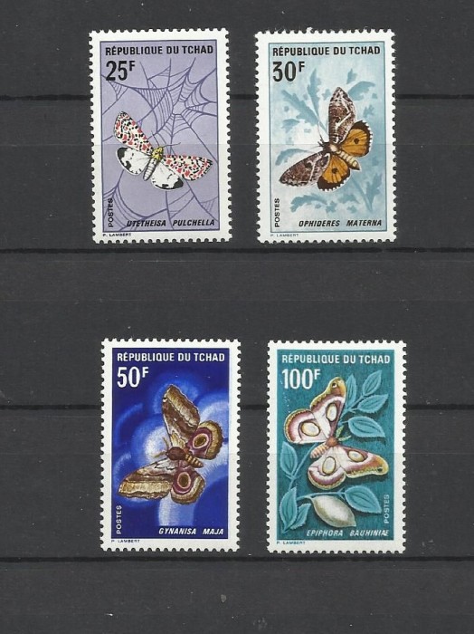 CHAD 1968 FAUNA INSECTE FLUTURI