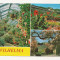 FG3 - Carte Postala -GERMANIA - Leipzig, Wilhelma, necirculata