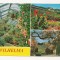 FG3 - Carte Postala -GERMANIA - Leipzig, Wilhelma, necirculata