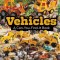 Vehicles: A Can-You-Find-It Book