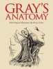 Gray&#039;s Anatomy