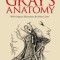 Gray&#039;s Anatomy