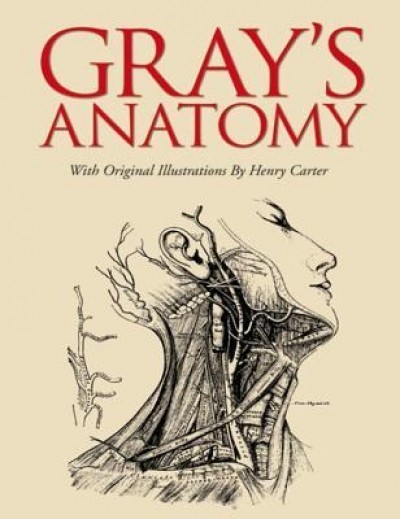 Gray&#039;s Anatomy