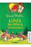 Cumpara ieftin Lumea Din Copacul Departarilor, Enid Blyton - Editura Art