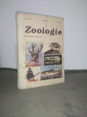 ZOOLOGIE - Manual clasa a VI-a - C. Bogoescu/ 1978 - ultima pagina lipsa foto